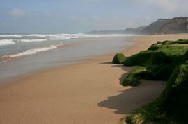 das meer